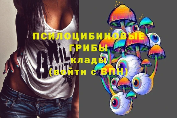мяу мяу мука Алексеевка