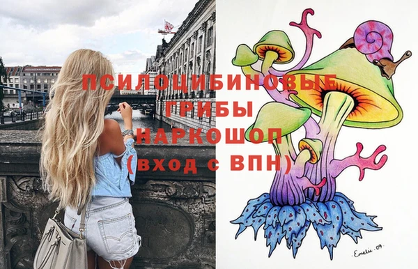 мяу мяу мука Алексеевка