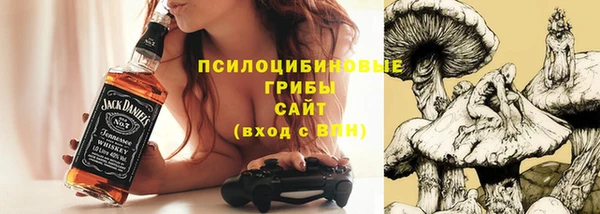 мяу мяу мука Алексеевка